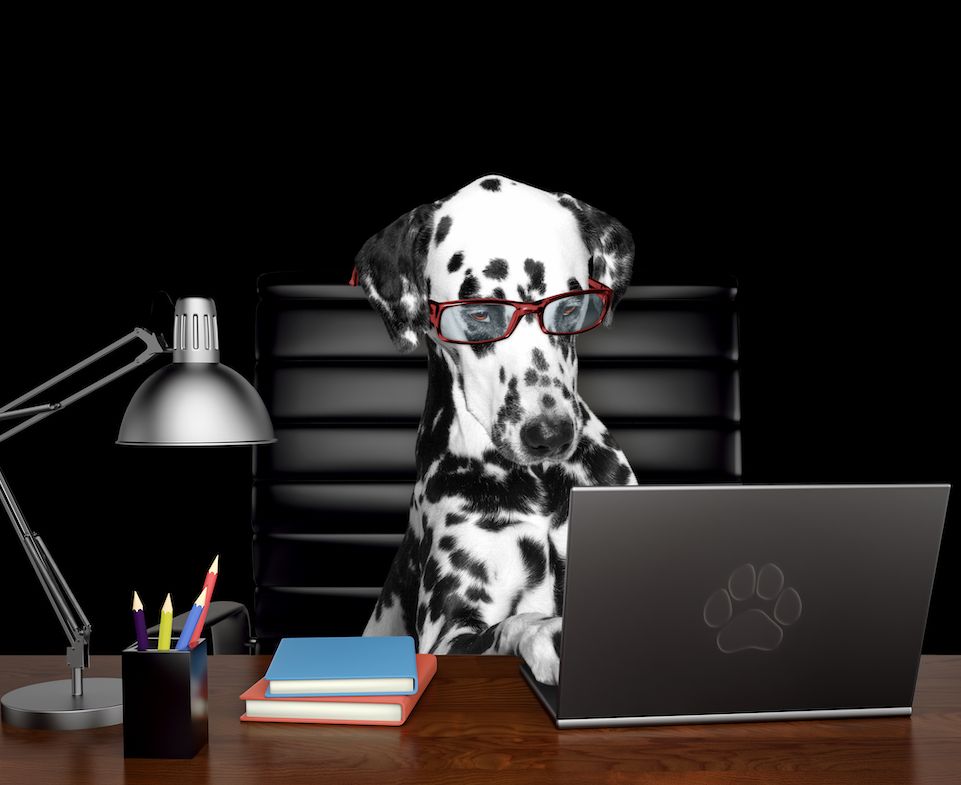 Views from a Delegate